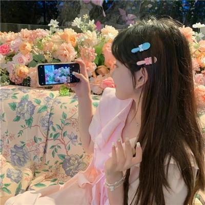 七只狐狸